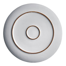 Gray stoneware dinner plate with bronze-toned concentric rim border