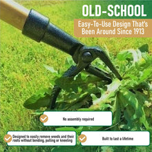 Close-up of stand-up weed puller 4-claw steel head on long wooden handle