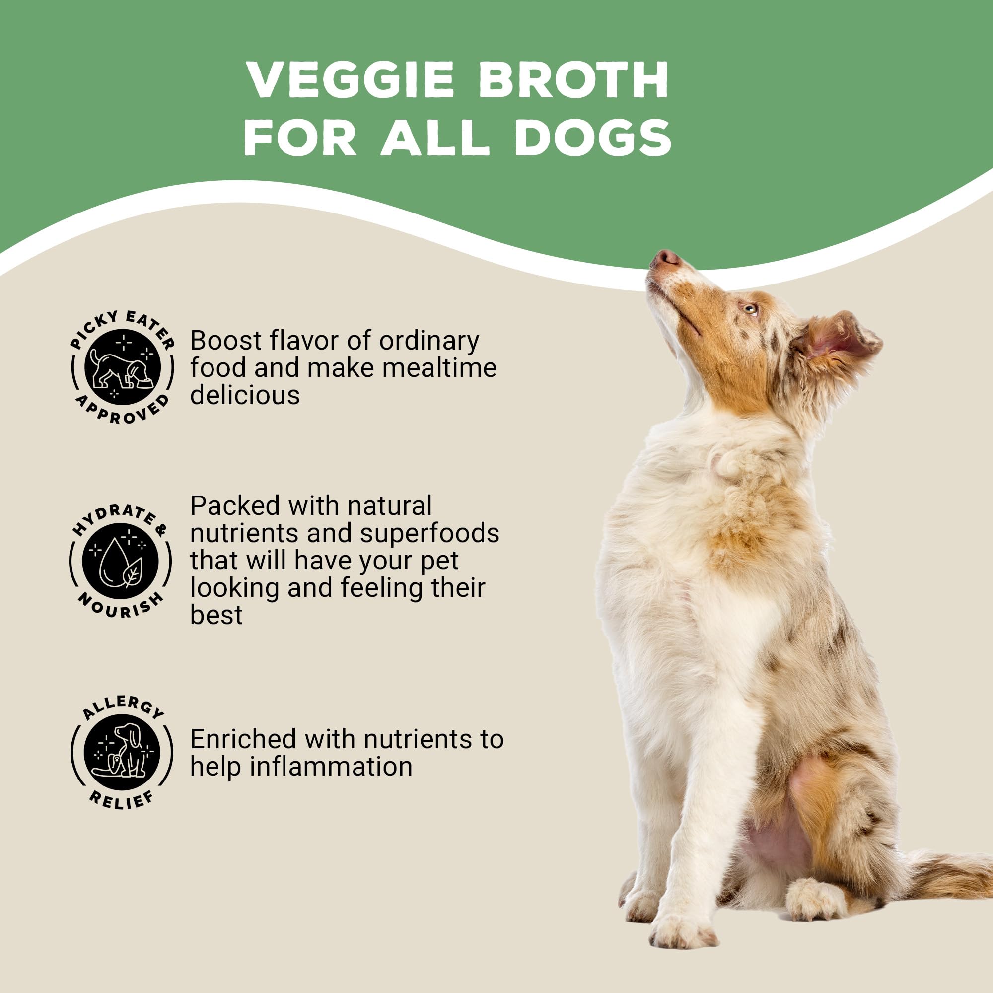 Brutus Broth Skin and Coat Meal Topper for Dogs Mega Pack (Salmon) - Pet Food Topper - Vegetable Broth Powder with Omegas 3, 6 & 9 for Skin and Coat Health - Makes Up to 130 fl oz