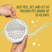 Hand peeling a seal from a citrus-scent solid air freshener disc
