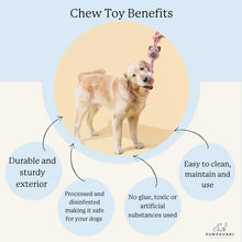 Chew toy benefits infographic with durability, easy-clean, and safe-use icons