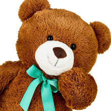 Brown teddy bear plush face with white muzzle and teal ribbon bow
