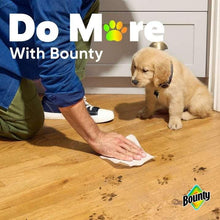 Bounty paper towel being wiped on floor near a resting dog