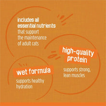 Wet cat food benefits: high-quality protein and supports adult cats
