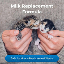 Newborn kittens being held for milk replacer feeding on a soft blanket.