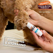 Swivel-stick balm applied to a dog's paw by a person's hand