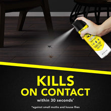 Raid multi-insect insect killer spray can in hand, yellow and black