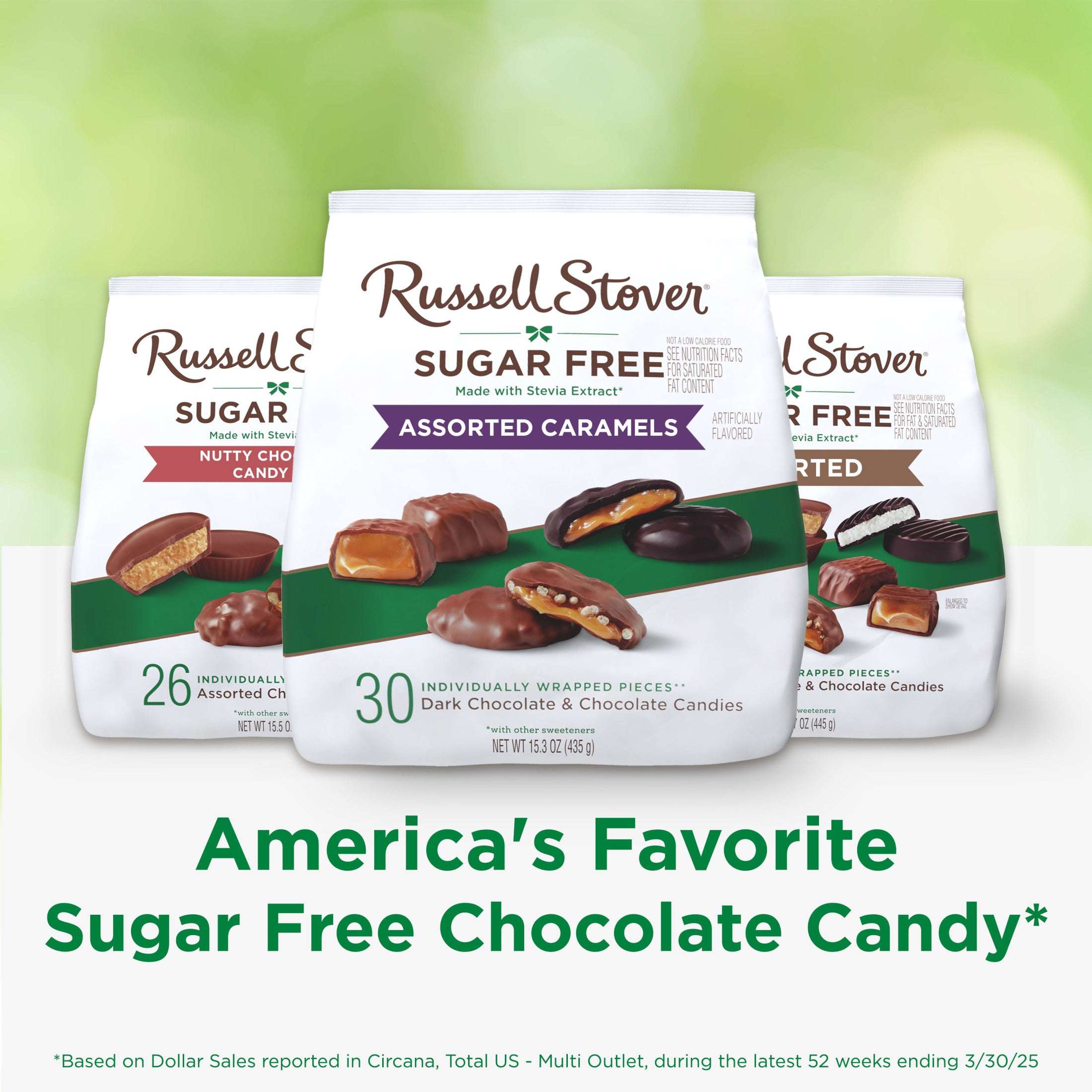 RUSSELL STOVER Sugar Free Assorted Caramels in Chocolate Candy, 15.3 oz. bag