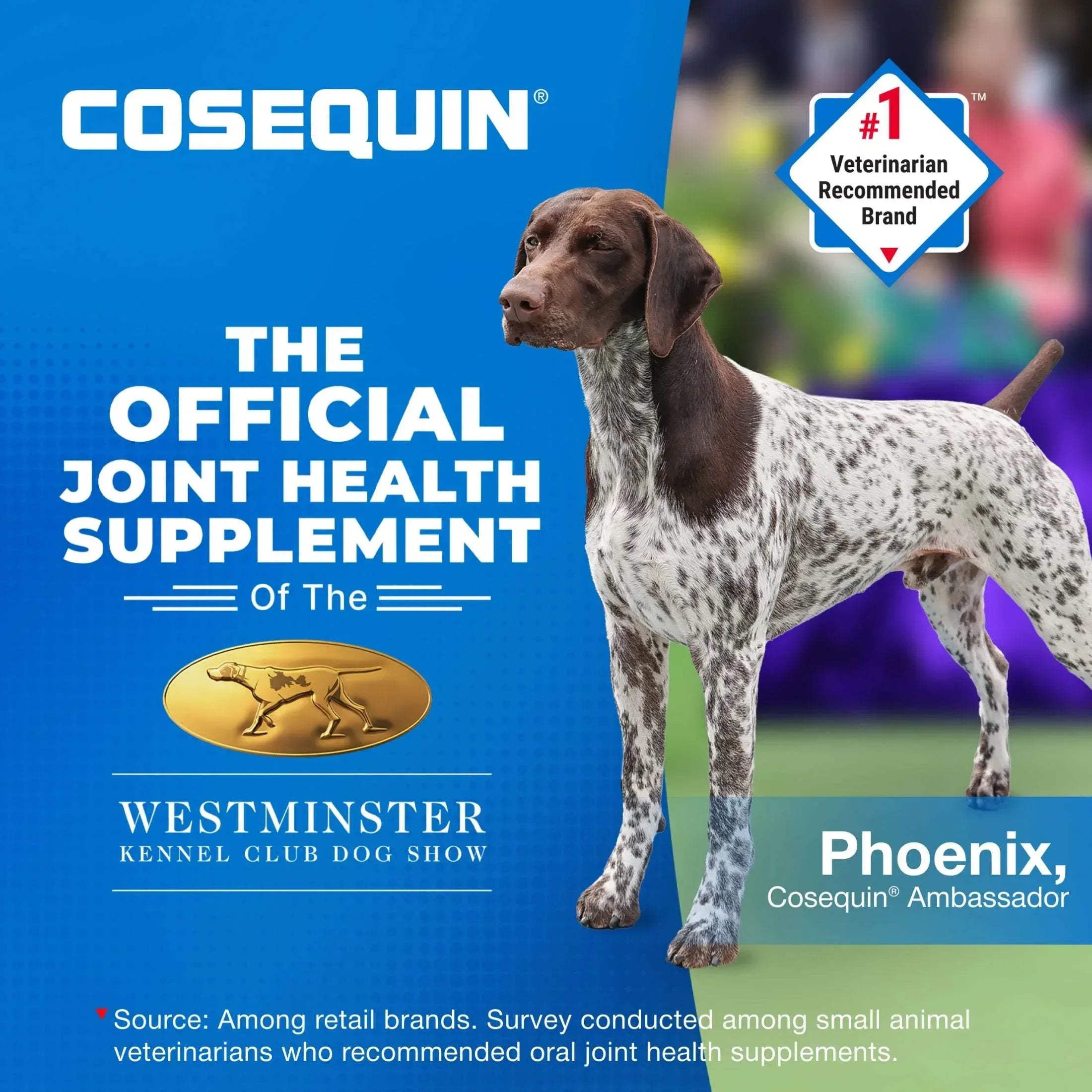 Nutramax Cosequin for Dogs Joint Health Supplement, Chewable Tablets, 60 Count