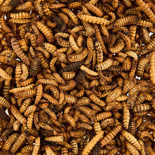 Close-up of dried soldier worms in tan-brown tones