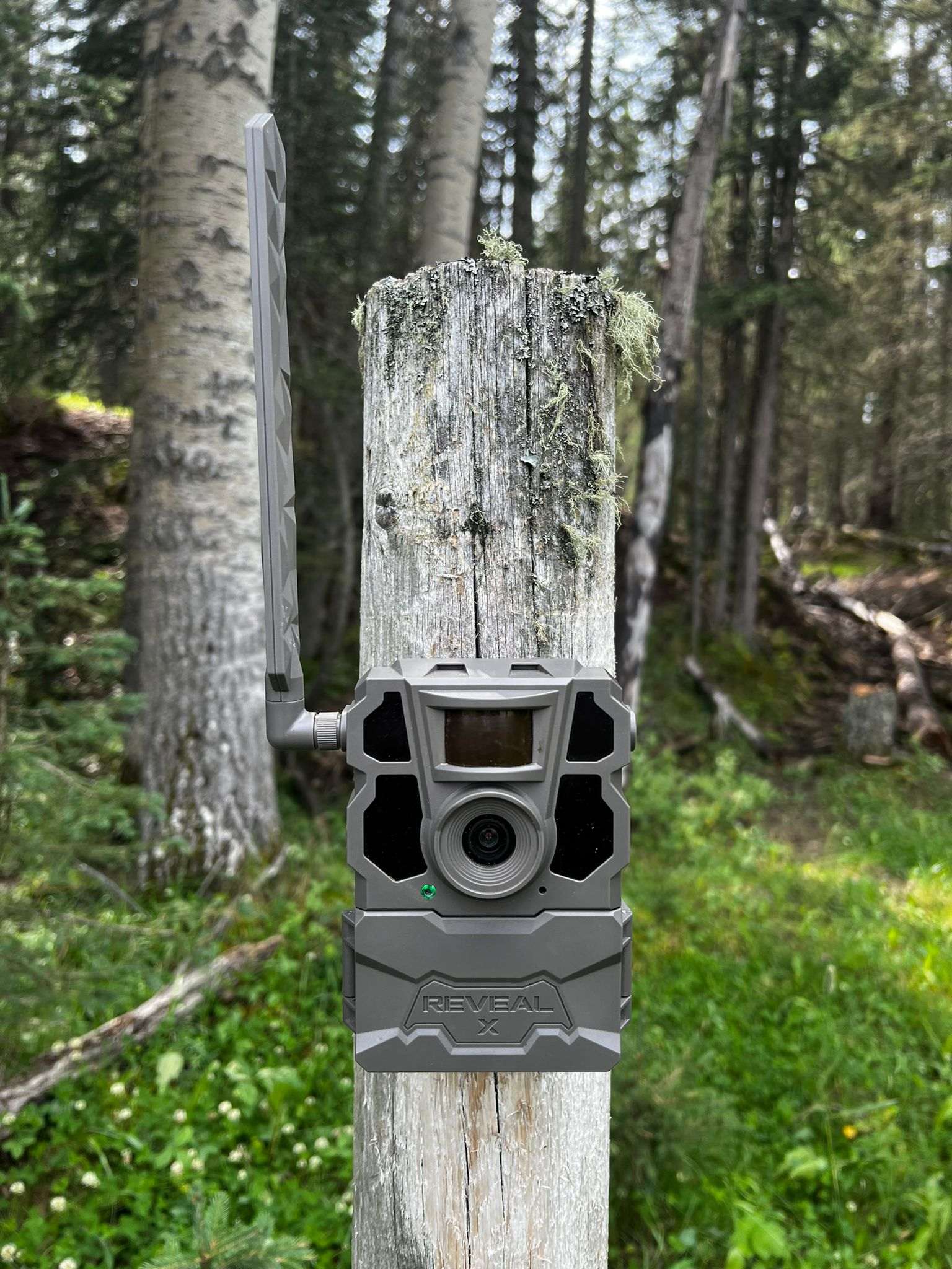 Reveal X 2.0 Cellular Trail Camera – 4G LTE Hunting and Remote Property Monitoring Camera, Motion Activated, No WiFi Required