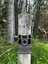 Rugged cellular trail camera mounted on tree, gray housing with front lens