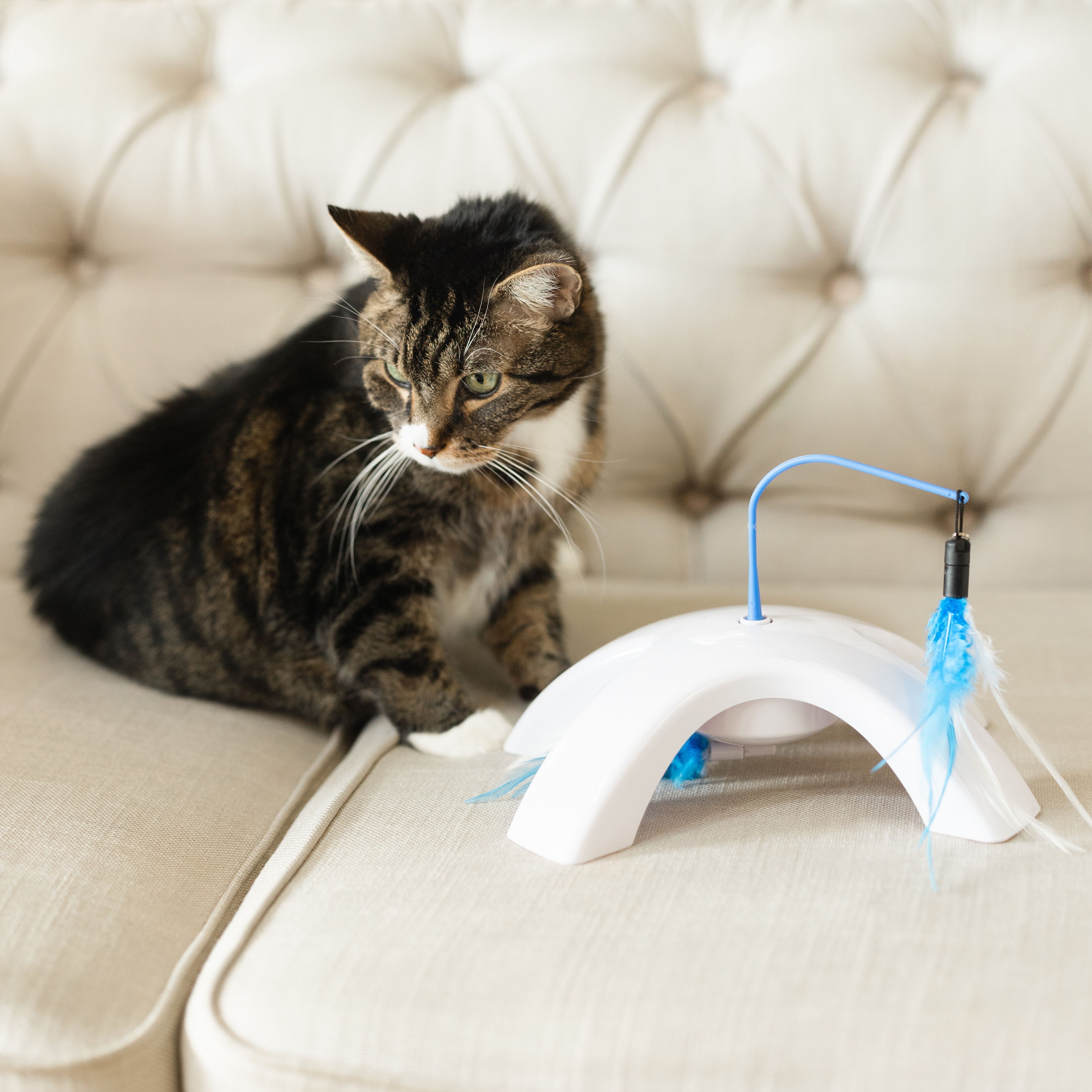 Vibrant Life Dual Swatter Electronic Cat Toy