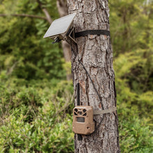 Solar power pack mounted on tree with protective housing and power cable