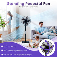 Black standing pedestal fan with tilt head and wide-angle oscillation