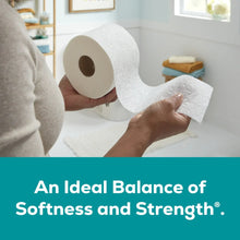 Toilet paper rolls held in hands, white 2-ply sheets