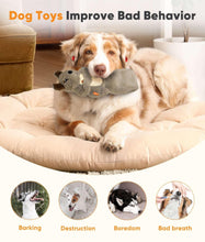 Grey plush squirrel dog toy with treat pouch, held in a dog's mouth on a bed