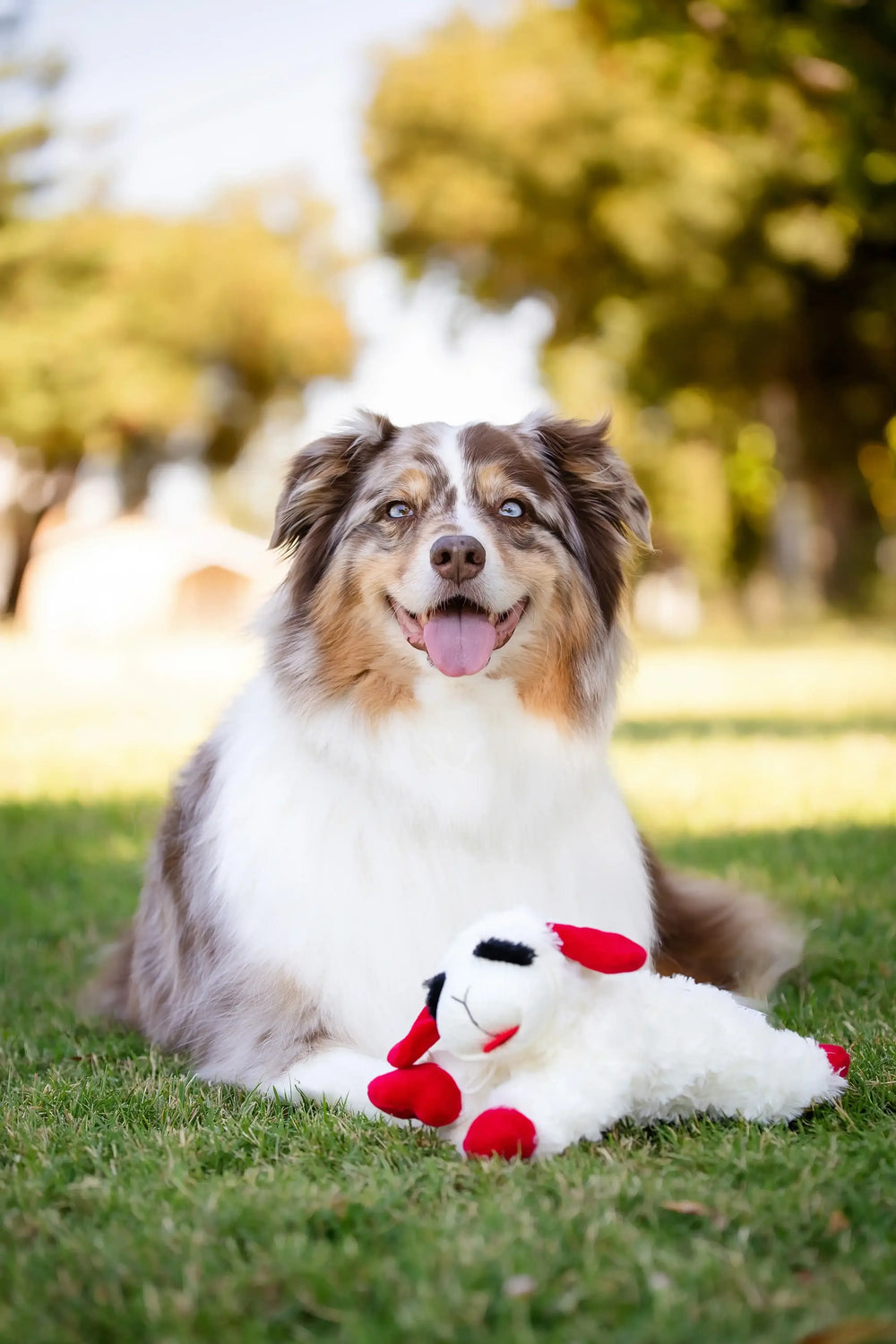 Multipet Plush Lamb Chop Dog Toy with Squeaker, Medium - USA MEGA SHOP