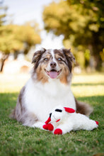 Dog playing with a plush lamb dog toy on grass, red ears and black face
