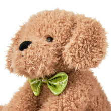 Close-up brown plush puppy face with green bow tie and black nose