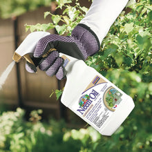 Bonide neem oil spray bottle with trigger held in a gloved hand