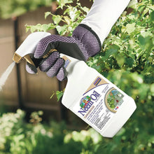 Neem oil spray bottle held in gloved hand, misting plants with trigger nozzle.