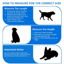 Dog crate size guide graphic showing measuring steps with dog silhouettes