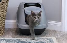 Hooded cat litter box with front entry door; gray cat inside enclosed plastic pan