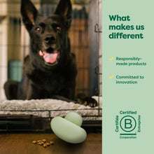 Mint green treat-dispensing dog toy on floor near a resting dog