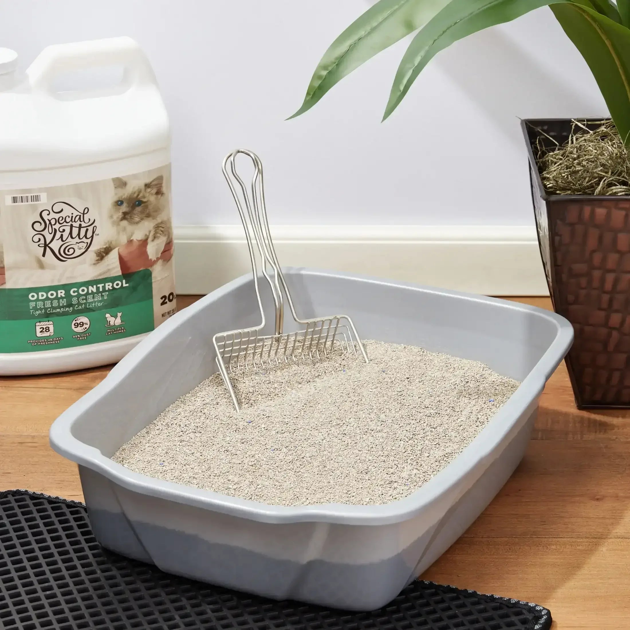 Special Kitty Scoopable Tight Clumping Cat Litter, Fresh Scent, 20 lb
