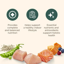 Indoor Complete dry cat food nutrition graphic with ingredients like chicken and salmon