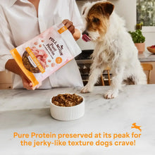 Air-dried dog food bag with small bowl of beef bites for dogs