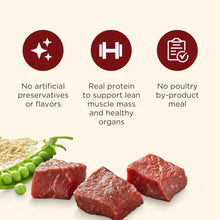 Dry dog food ingredients with no artificial preservatives, real protein, no poultry by-product meal