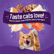 Purina Friskies Surfin & Turfin Favorites dry cat food bag with cat on label