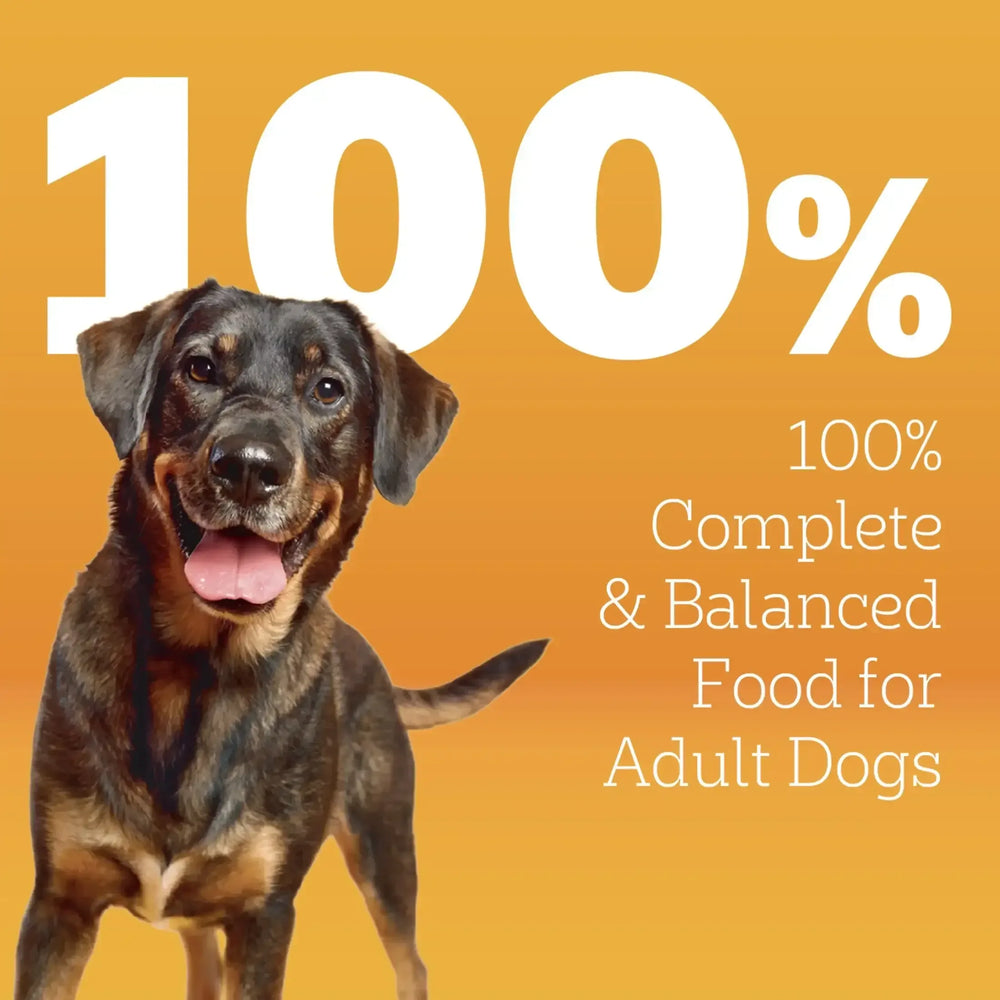 Pedigree High Protein Adult Dry Dog Food, Beef and Lamb Flavor - USA MEGA SHOP