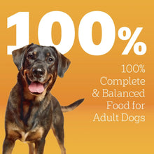 Dry dog food nutrition panel with adult dog and 100% complete text