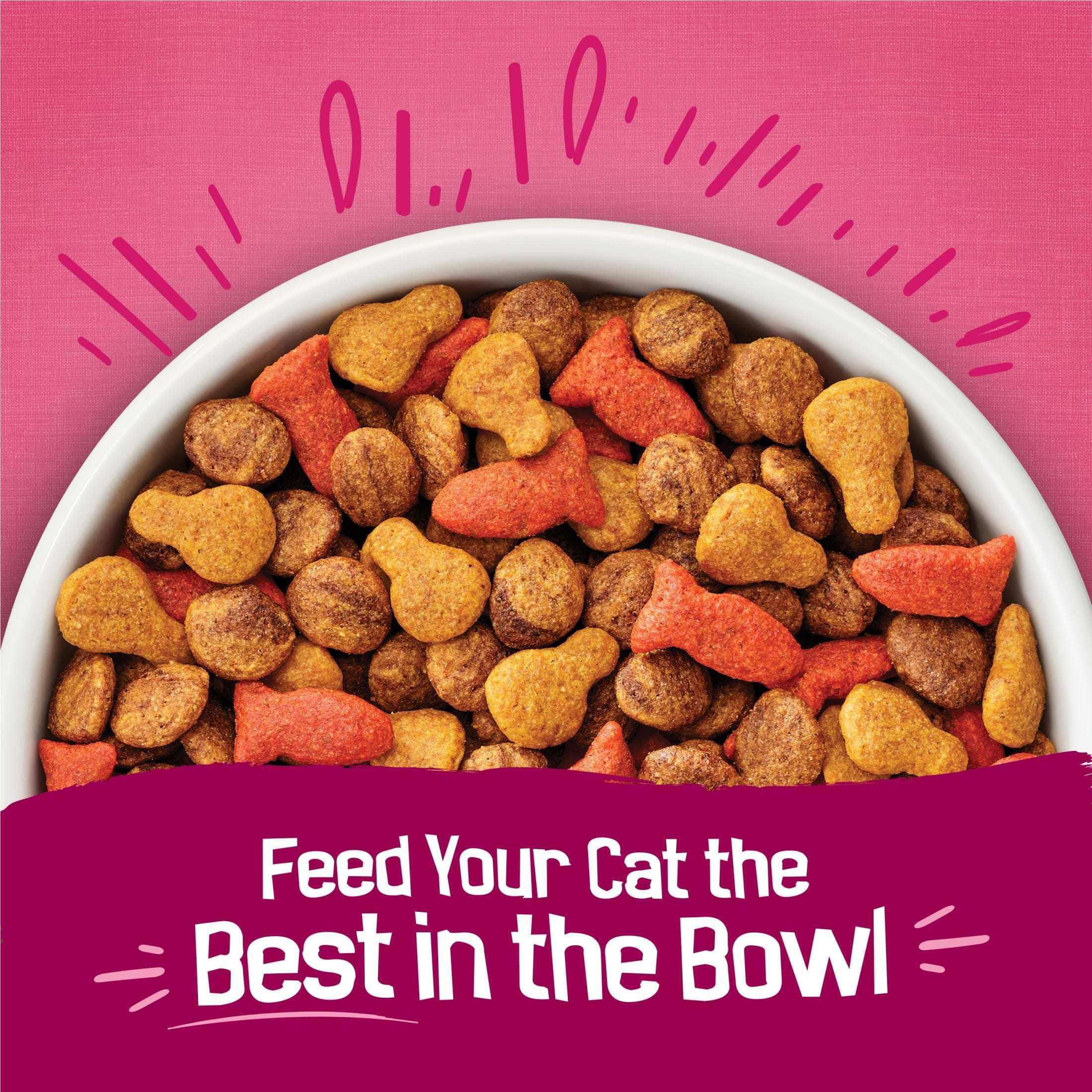 Purina Friskies Gravy Swirlers Dry Cat Food Flavors of Chicken, Salmon and Gravy, 3.15 lb. Bag