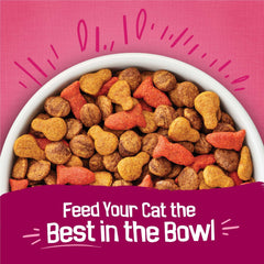 Purina Friskies Gravy Swirlers Dry Cat Food Flavors of Chicken, Salmon and Gravy, 3.15 lb. Bag