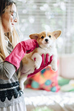 Magenta rubber cleaning glove on person holding a dog