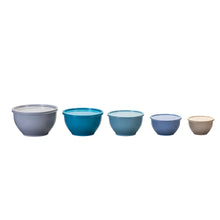 Assorted plastic nesting mixing bowls with lids in five sizes, mixed blues and tan