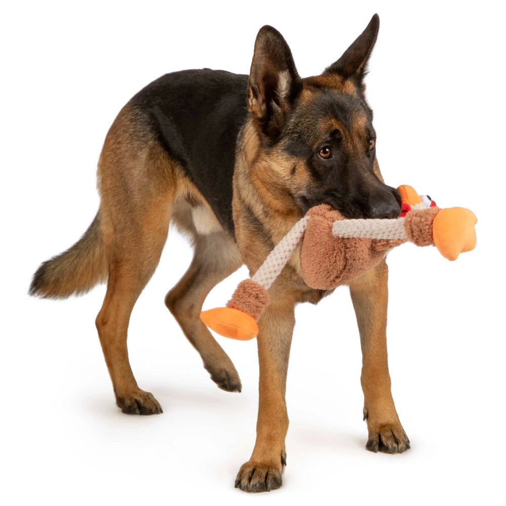 goDog Farm Friends Rooster Plush Toy for Dogs with Chew Guard Technology for Stronger & Longer Play, Soft & Durable, Built-In Squeaker, Brown, Medium - USA MEGA SHOP