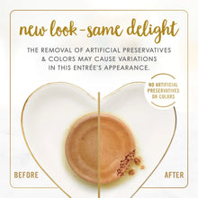 Kitten classic pate graphic showing before and after texture variations