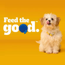 Pedigree Puppy dry dog food ad featuring a cream puppy