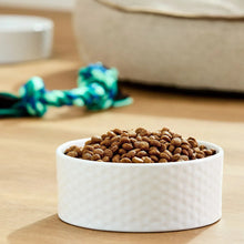 White bowl of brown dry dog kibble