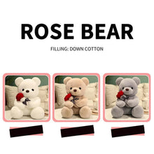 Rose bear plush toy comparison image with multiple bear colors