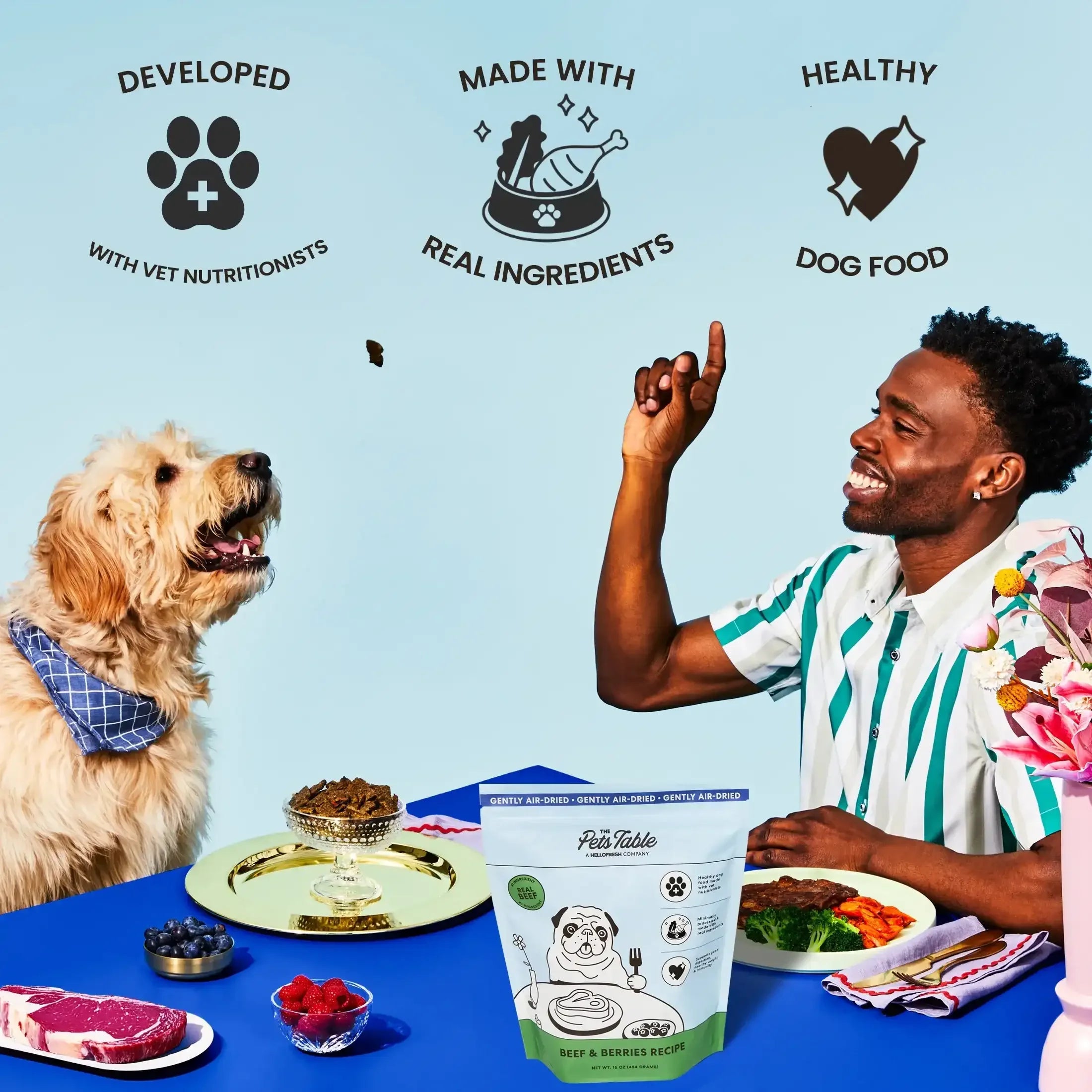 The Pets Table Beef & Berries Air-Dried Dog Food - USA MEGA SHOP