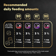 Dog food recommended daily feeding amounts chart for adult dogs