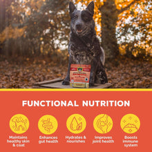 Black dog sitting outdoors with probiotic bone broth dog topper pouch on table