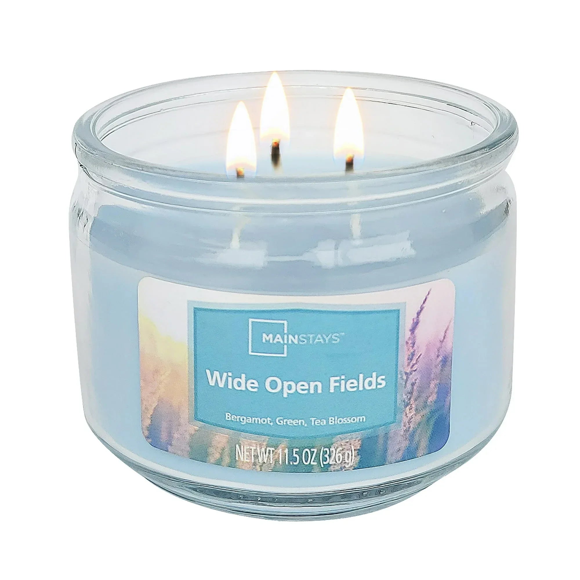 Mainstays 3-Wick Glass Jar Candle, Wide Open Fields, Corydalis Blue, 11.5 oz