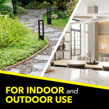 Raid multi-insect insect killer spray can graphic for indoor and outdoor use
